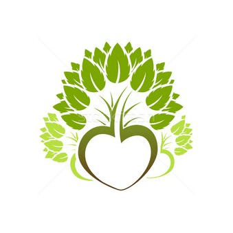 Фикус Пикус