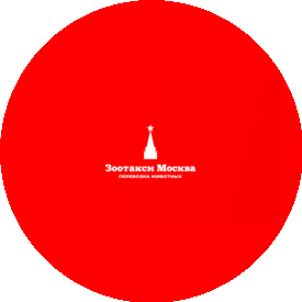 Зоотакси Москва