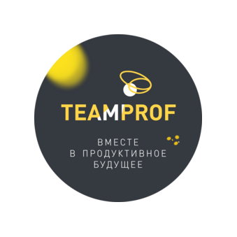TEAMPROF