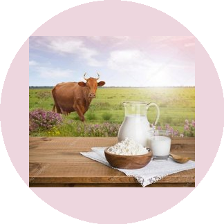 ИП Сорокин А.Н.