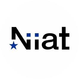 Инжиниринговая Компания ООО Niiat