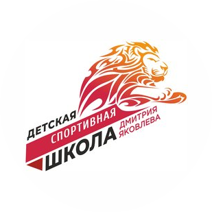 Детская спортиная школа Дмитрия Яковлева