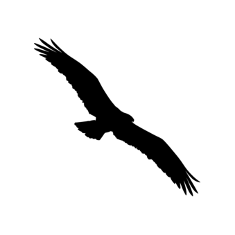 Яговкина Елена Владимировна