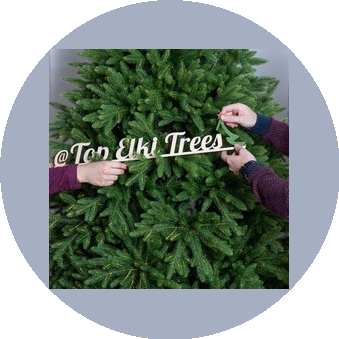 Макарова Елена Михайловна