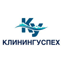 КлинингУспех