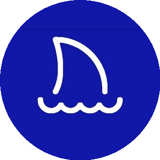 BTL Агентство Акула