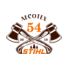��������� ������� STIHL �������54