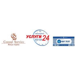 Консул-Сервис, Группа Компаний