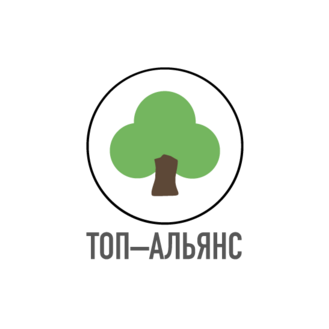 ТОП-АЛЬЯНС