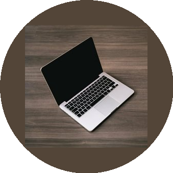 Бедарева Екатерина