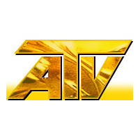 Авторское телевидение