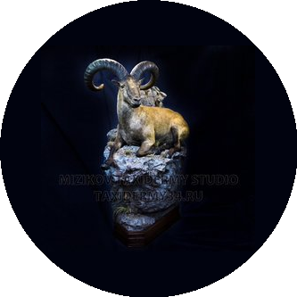 ������ �����������