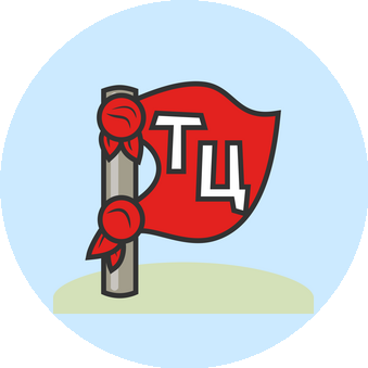 ОЧУ ДО Частный детcкий сад Тридевятое царство