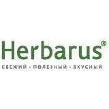 Гербарика