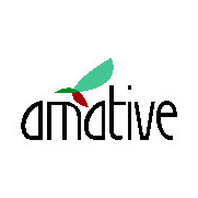 Аматив