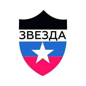 Группа компаний Звезда Моторс