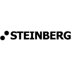 STEINBERG