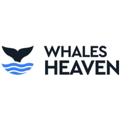 WhalesHeaven OU