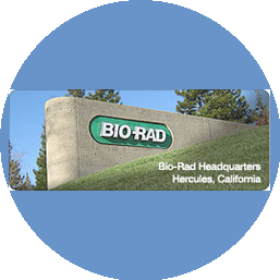 BIO-RAD Представительство, РК