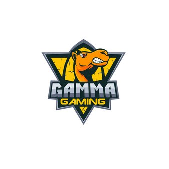 Компьютерный клуб Gamma Gaming