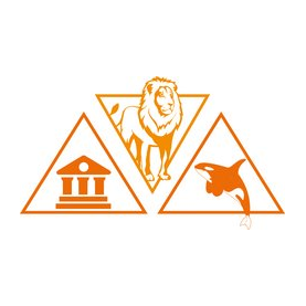 Абсолют-Тур