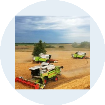 ПЕРВАЯ МЕЖРЕГИОНАЛЬНАЯ АССОЦИАЦИЯ МТС