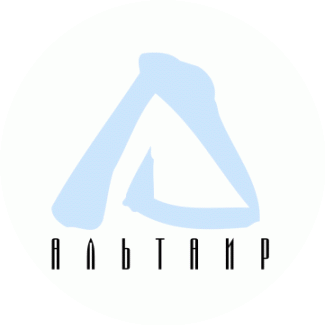 Альтаир, Холдинговая компания