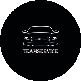TeamService