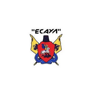 ЧОП Есаул плюс