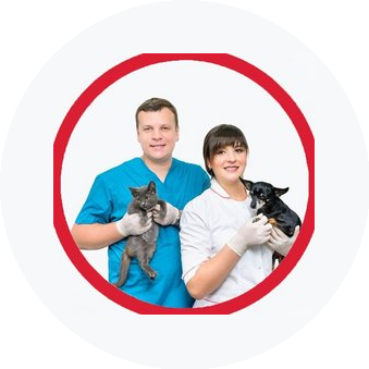 Ветеринарная корпорация