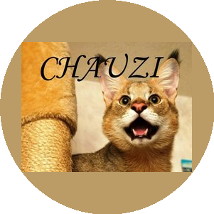 Chauzi
