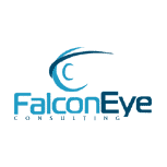 Falcon Eye Consulting