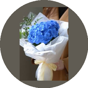 Качан Валерия Владимировна