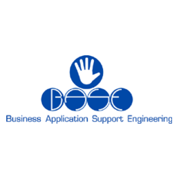 B.A.S.E. ( Business Application Support Engineering )