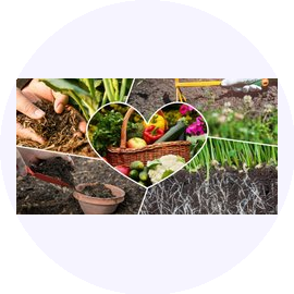 Торговый дом ОПХ