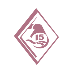 ТРЕСТ № 15 СПЕЦСТРОЙ