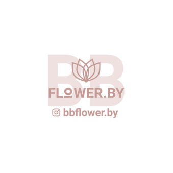 Бабинович Никита Юрьевич