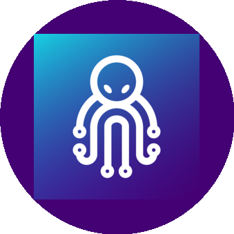 Octopus Lab