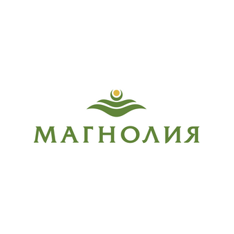 Магнолия, Сеть магазинов
