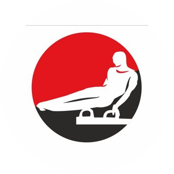 Школа спортивной гимнастики Андрея Гребенникова