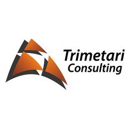 Триметари Консалтинг