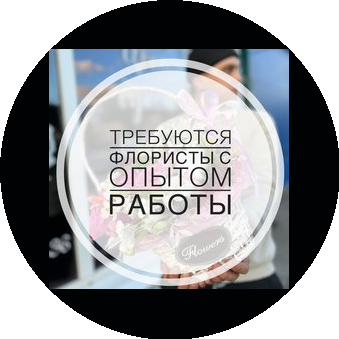 Макинская Светлана Владимировна