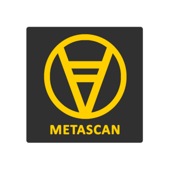 Компания Метаскан