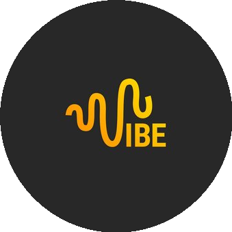 Вайб, Онлайн-Школа ЕГЭ