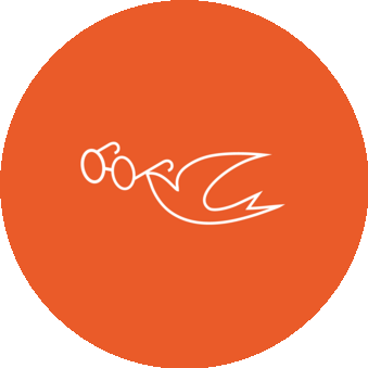 Мастерские по ремонту очков Ласточки