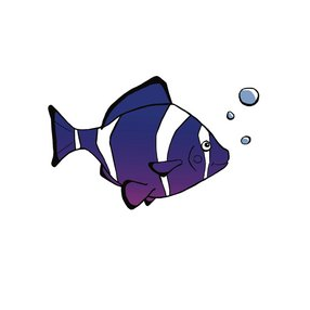 Зоомагазин Барбус