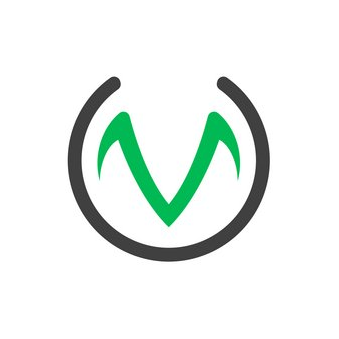 Voltiq.ru (ИП Гордеев В.С.)