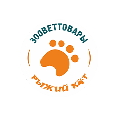 Рыжий кот