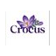 Crocus Family