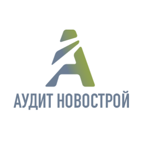 Аудит Новострой